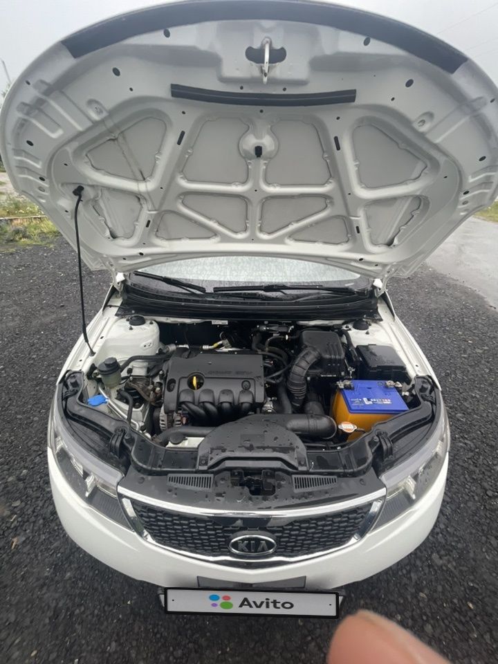 Kia Cerato: фото владельца