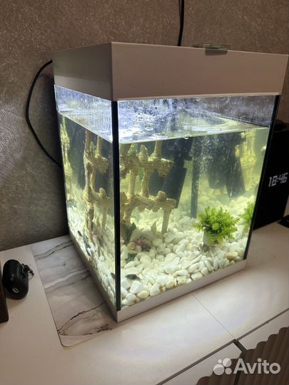 Аквариум 20л