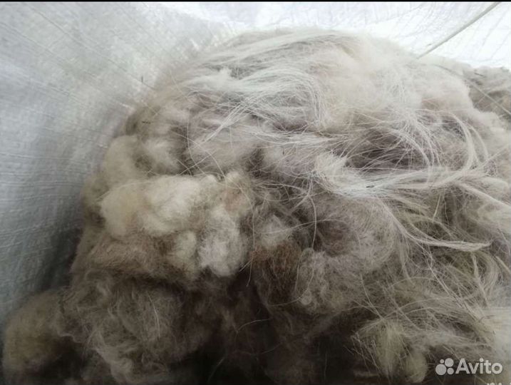 Шерсть овечья