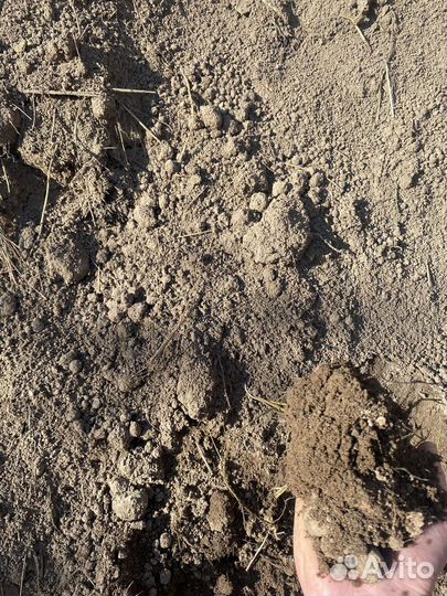 Плодородный грунт с доставкой