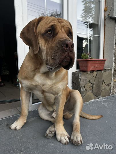 Бурбуль для вязки