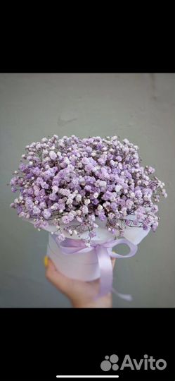 Гипсофила в коробке Микс. Доставка цветов Вологда