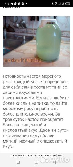 Индийский морской рис, рисовый гриб, водный кефир