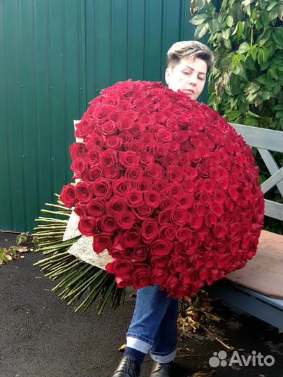 251 роза 1 метр
