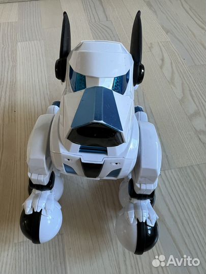 Rastar собака робот