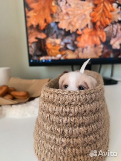 Игрушка щенок ручной работы, щенок валяние