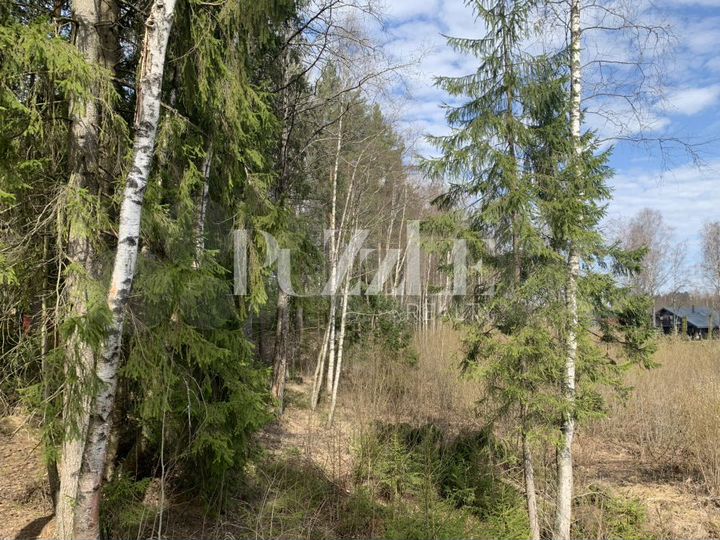 Участок 10 сот. (СНТ, ДНП)