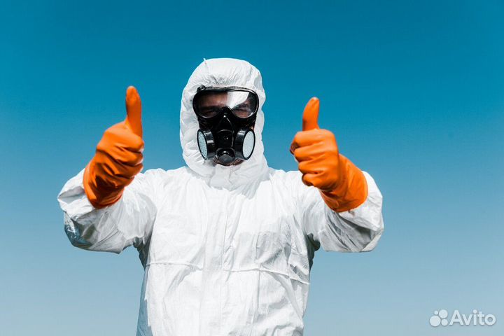 Дезинфектор