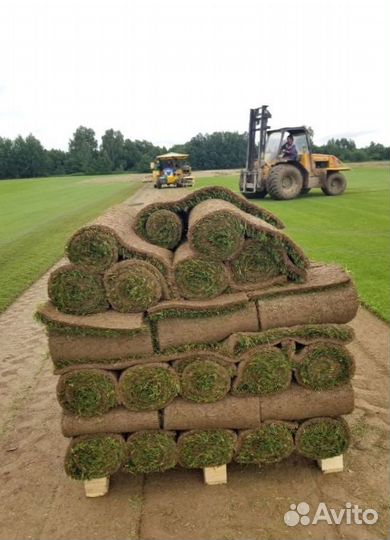 Рулонный газон