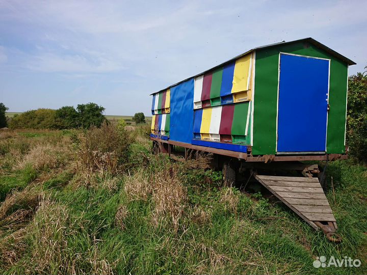 Пчелопавильон