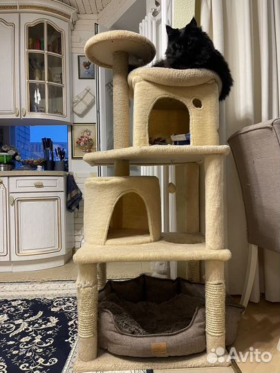 Дом для кошки