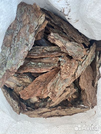 Кора сосны мульча