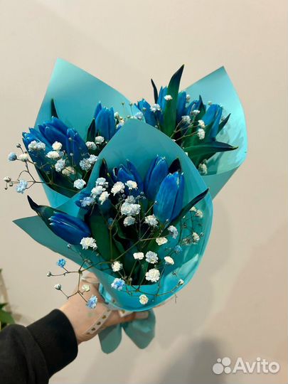 Эксклюзивные голубые тюльпаны