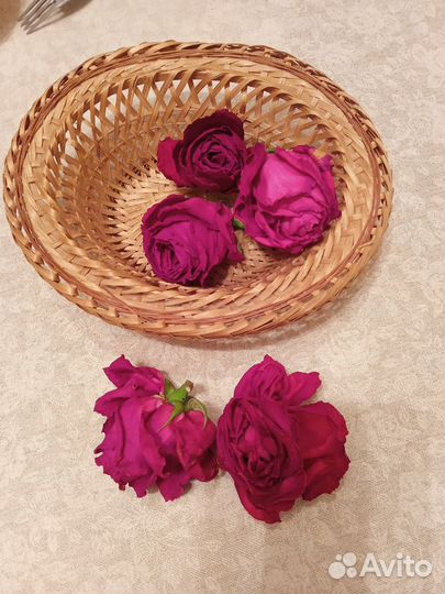 Сухие цветы розы