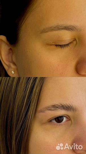 Мастер бровист