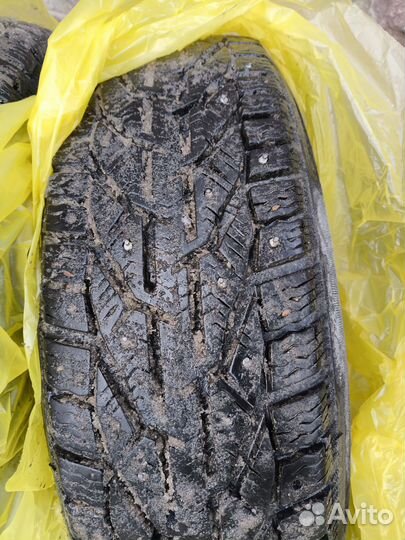 Tigar Ice 185/65 R15