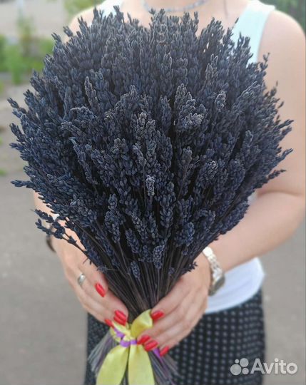 Букеты сухоцветы лаванда на заказ