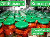 Разнорабочие на консервный завод Волгоград