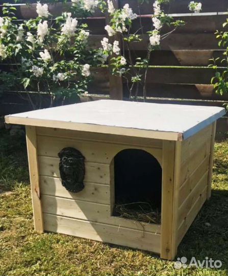 Собачья будка