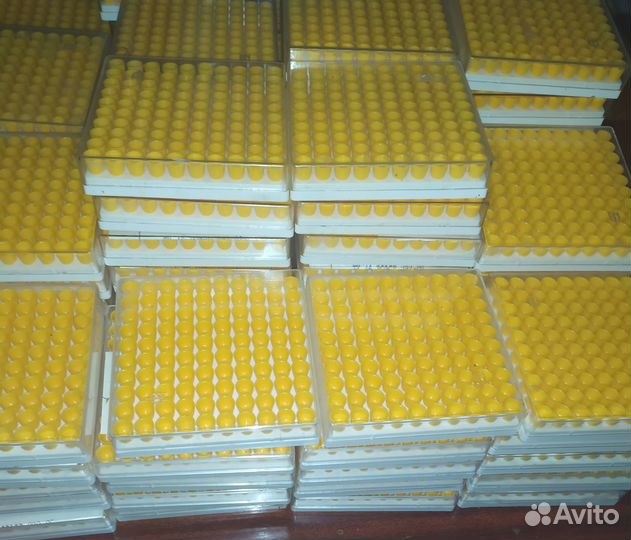 Комплект мисочек для вывода пчелиных маток