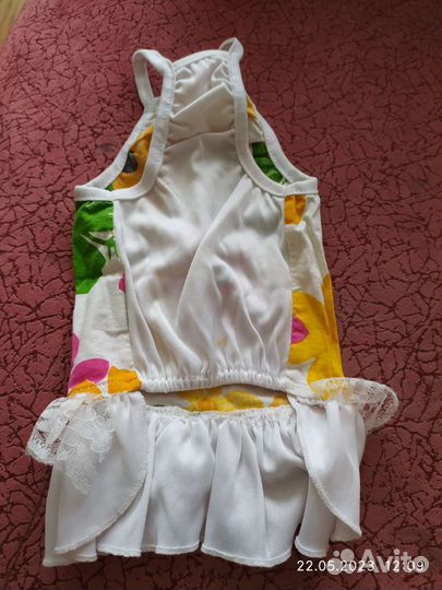 Одежда для маленьких собак