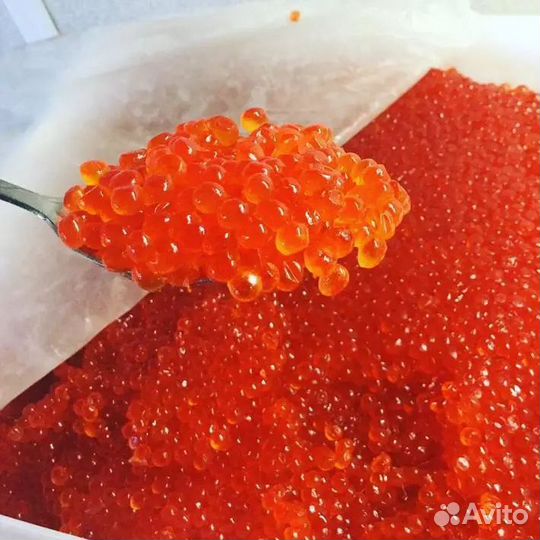 Икра красная Кета