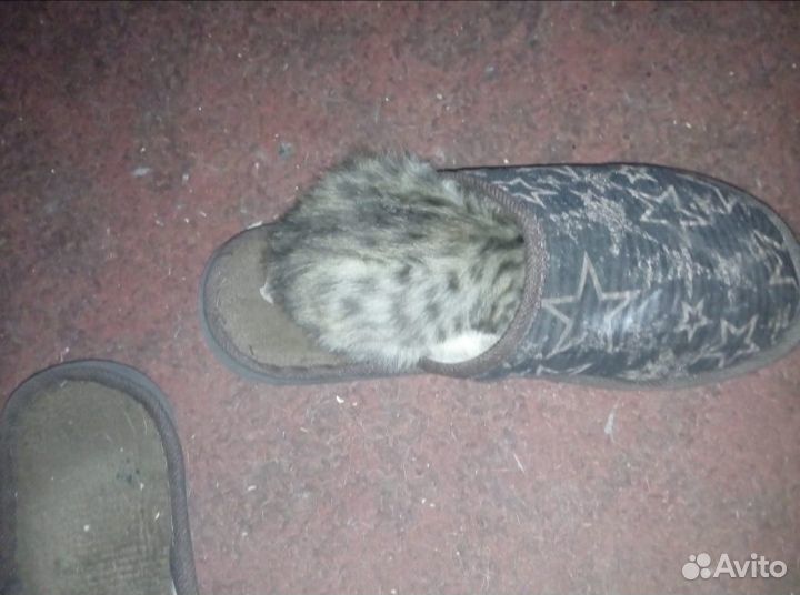 Котик в добрые руки