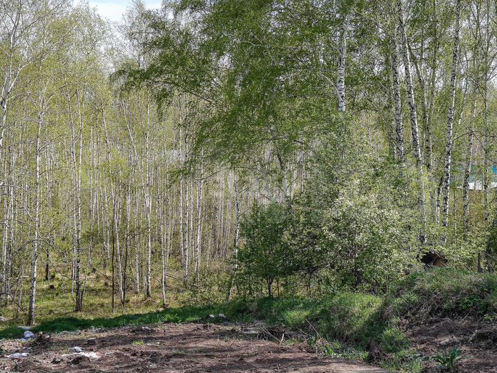 Участок 11 сот. (СНТ, ДНП)