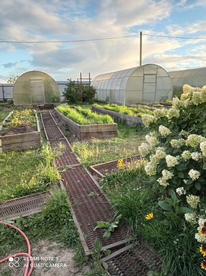 Участок 11,8 сот. (ИЖС)