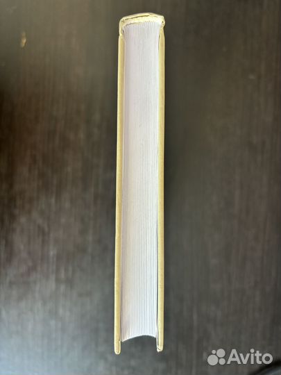 Книга Политическая доктрина Юлиуса Эволы