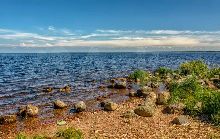 Участок 100 сот. (СНТ, ДНП)