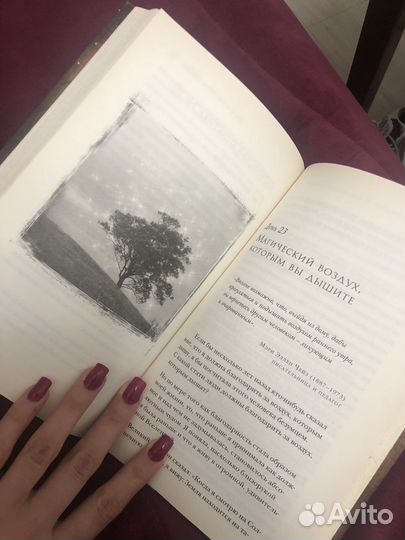 Магия Ронда Берн книга