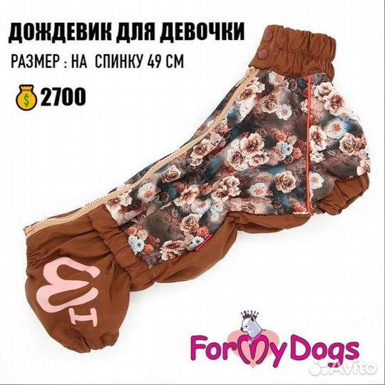 Дождевики для корги for my dogs
