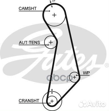 Ремень грм audi A3/A4 1.6 96- / skoda / VW 1.6