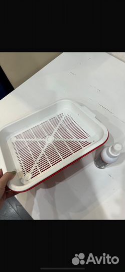 Лоток и масло для кошечек