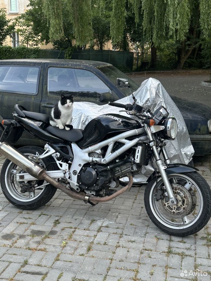 Suzuki sv 650