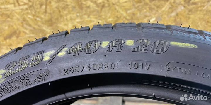 Michelin Pilot Alpin PA4 255/40 R20