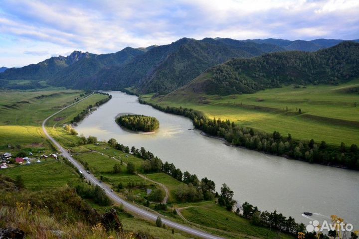 Земельный участок в Алтайском крае