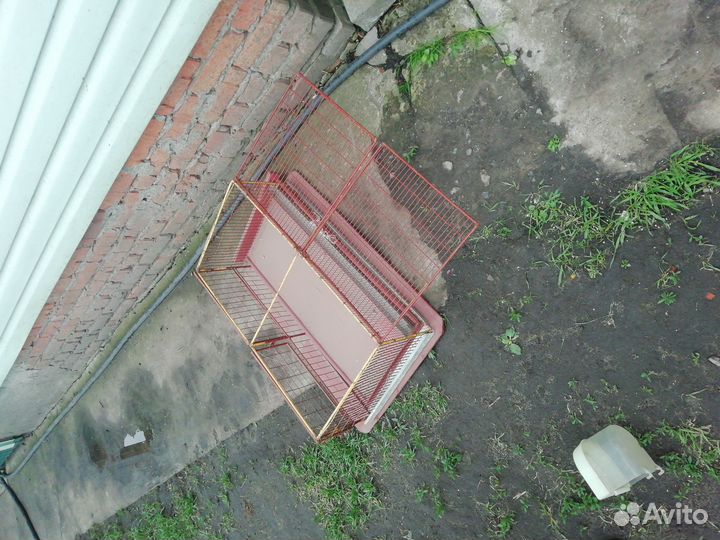 Клетки для перепелов