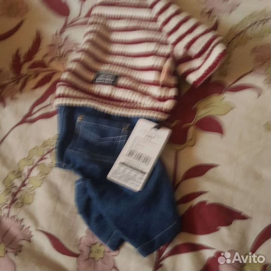 Одежда для собак