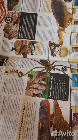 Книга мировые рекорды Гиннесса 2014