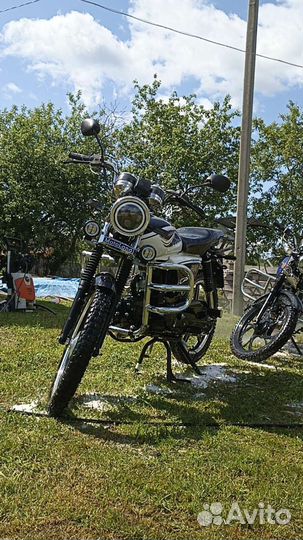 Alpha Motolend Rx 11