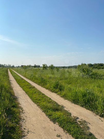 Участок 100 сот. (СНТ, ДНП)