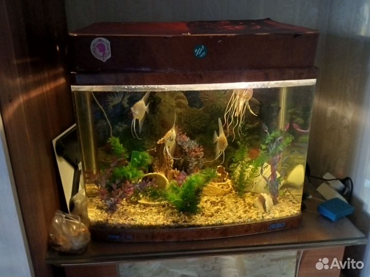 Аквариум