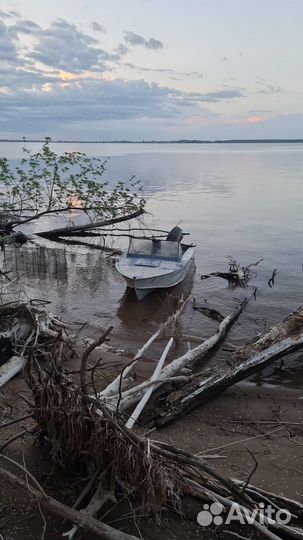 Оптом речная рыба