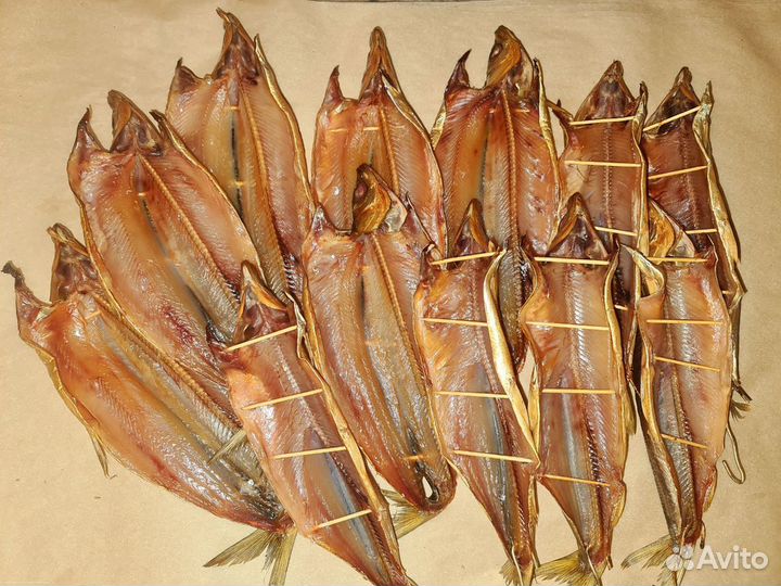 Байкальская рыба