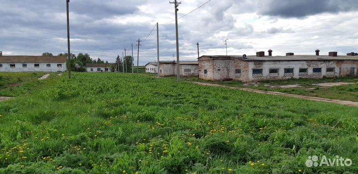 Продается животноводческая ферма