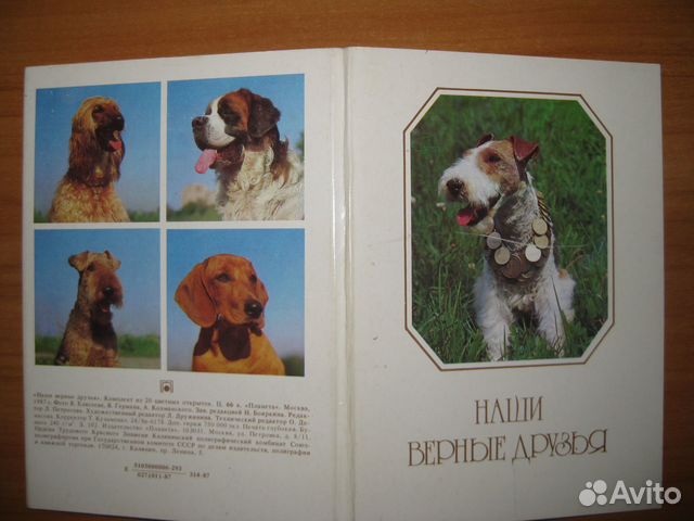 Набор открыток