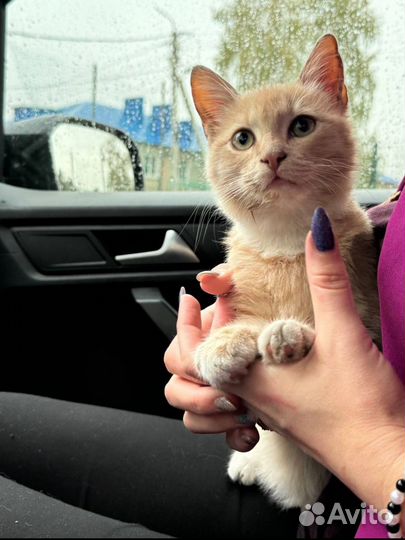 Мальчик 5 месяцев