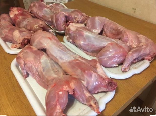 Мясо кролика